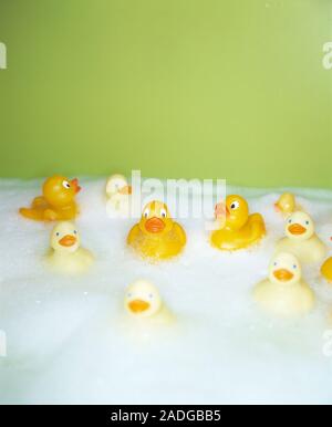 Rubber ducks in a foamy bath. Stock Photo
