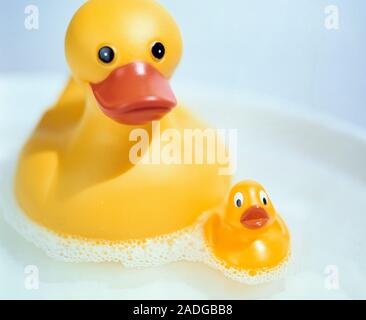 Rubber ducks in a foamy bath. Stock Photo