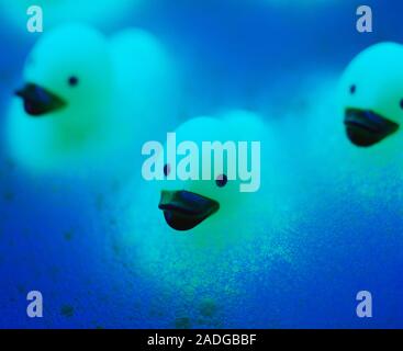 Rubber ducks. Glowing rubber duck toys floating in a foamy bath. Stock Photo