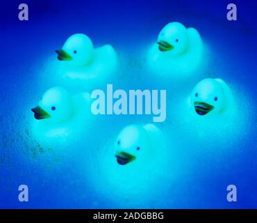 Rubber ducks. Glowing rubber duck toys floating in a ring formation in a foamy bath. Stock Photo