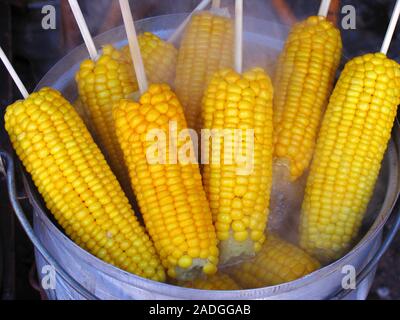 Sweetcorn cobs (Zea mays) being cooked in a pot at a food stall. Photographed in Yunnan province, China. Stock Photo