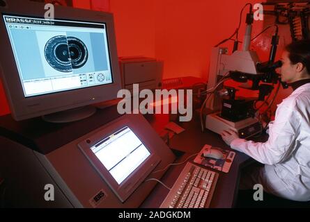 Comparing used bullet cartridges. Forensic scientist using a microscope to compare markings on the back of handgun cartridge shells. The shells held b Stock Photo