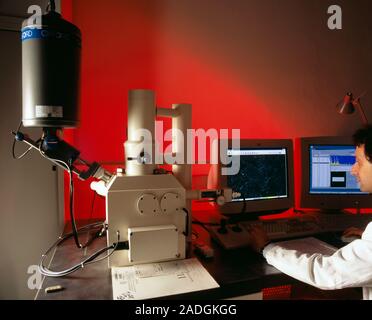 Analysis of gunshot residue (GSR). Forensic scientist using a scanning electron microscope (SEM) to search for GSR particles (not seen) on a sample fr Stock Photo