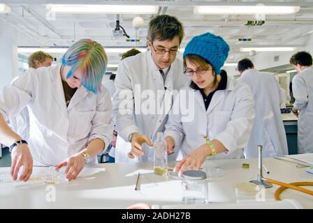 Biology lesson. Instructor teaching students in a biology laboratory as they prepare microbial cultures. They are pouring growth mediums from bottles Stock Photo