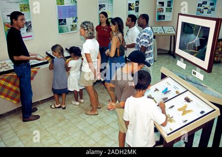 Insect exhibition. Visitors listening to a tour guide inside a room exhibiting the unique species of insects found in the local area. People visit thi Stock Photo