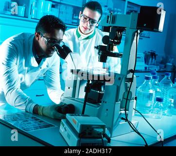 Light microscopy. Technicians using a light, or optical, microscope to study human cells. Stock Photo