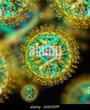 Herpes virus particles, computer artwork. Each particle (virion) consists of a deoxyribonucleic acid (DNA) genome (light blue and green spiral) surrou Stock Photo