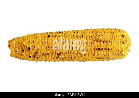 Organic roasted sweet corn on the cob isolated on white background Stock Photo