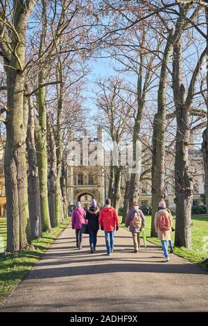 A group of students walk along the tree lined path to New Court at Trinity college, Cambridge university, England, on a sunny winter day. Stock Photo