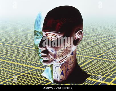 Split personality. Conceptual computer artwork of two sides of a human head, representing a split personality. This results from the psychiatric condi Stock Photo