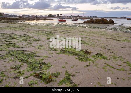 Small idyllic harbour at low tide during dusk, romantic mood, little boats on the sand, sand and seaweed in the foreground Stock Photo