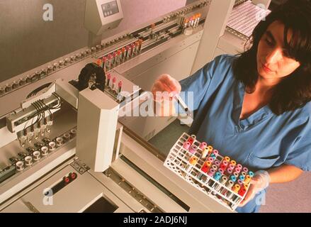 Blood sample processing. Technician preparing blood samples for automated sorting. The machine identifies individual samples from bar codes and sorts Stock Photo