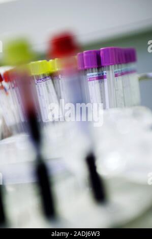 Blood samples in vacutainers. These samples have been routinely collected during blood donation by volunteer donors. The blood will be screened for bl Stock Photo