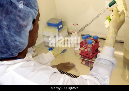 Blood analysis. A technician using a solution to separate mononuclear cells (white blood cells) from a blood sample. Photographed at the Genethon Labo Stock Photo