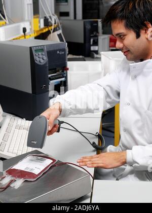 MODEL RELEASED. Donor blood processing. Researcher scanning the barcode on a bag of donor blood. All blood products are given a barcode so they can be Stock Photo