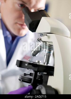 Blood analysis. Technician examining a blood sample under a light microscope. The number and shape of the cells and the composition of the blood will Stock Photo