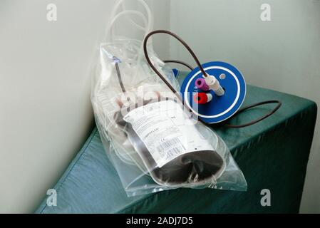 Donated blood. Sealed bag with 475 millilitres (standard collected volume) of fresh blood and sample tubes (centre right). The blood in the tubes is t Stock Photo