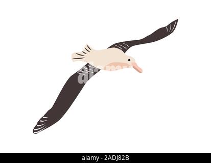 Australian animals. Vector illustration in flat style.The main symbols of the country. Stock Vector