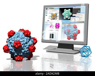 Virus research. Conceptual computer artwork representing research into viruses, showing a virus particle (lower left) and a computer screen displaying Stock Photo