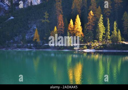 The latest lights of the day light up the trees on the shore of lake Stock Photo