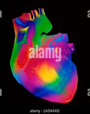 Human heart. Computer artwork depicting a healthy human heart in abstract colours. The heart's main blood vessels are: superior vena cava (top left), Stock Photo