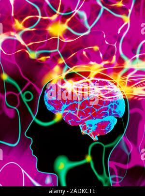Brain. Abstract computer artwork showing the silhouette of a human head with brain, and light trails. The trails of light may represent thought proces Stock Photo