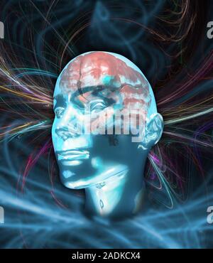 Human brain. Computer artwork of a human brain (pink) inside a head. Stock Photo