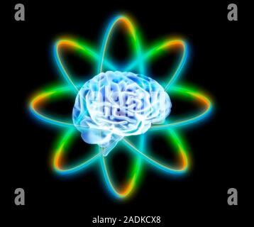 Atomic brain. Conceptual computer artwork of a brain surrounded by atomic orbitals. This could represent artificial intelligence or quantum computing. Stock Photo