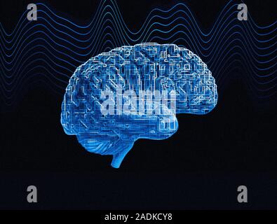 Brain. Conceptual computer artwork of a brain seen from the side. The front of the brain is at right. Stock Photo