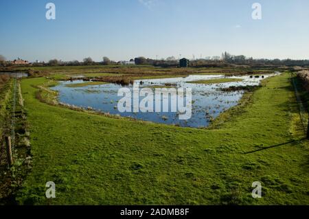 The London Wetland Centre in London, UK Stock Photo