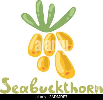 Hand drawn sea buckthorn illustration. Organic food on white background. Cute plant. Flat doodle design. Stock Vector