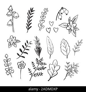 Set of leaves and flower Isolated on white background Hand drawn floral element. Happy Thanksgiving Day Concept - Vector Illustration. Stock Vector