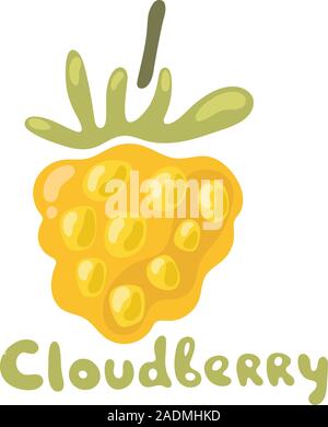 Orange cloudberry berry flat icon with inscription. Single Cloudberry with Leaves. Colorful Icon vector illustration of eco food isolated on white. Stock Vector