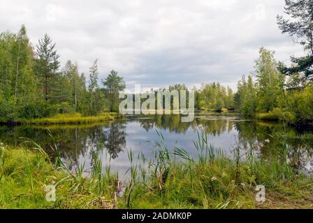 Small lake on the territory of Sestroretsk swamp. Saint-Petersburg. Russia Stock Photo