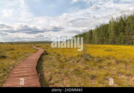 Wooden walkway on the territory of Sestroretsk swamp. Saint-Petersburg. Russia Stock Photo