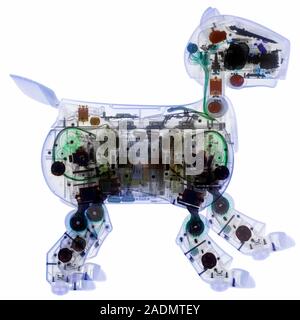 Robotic dog. Coloured X-ray of the Japanese robot dog toy AIBO (Artificial Intelligence Robot). The X-rays reveal the internal structure of electrical Stock Photo