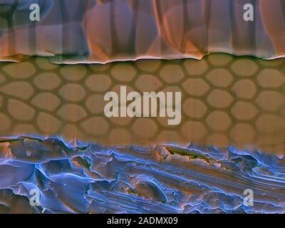 Fibre optics material. Coloured scanning electron micrograph (SEM) of cuts made into material used in a fibre optics cable. Various materials are used Stock Photo