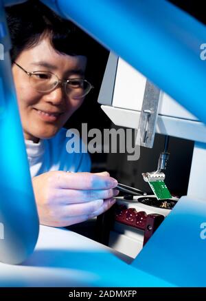 Circuit board testing. Researcher testing the solderability of an electronic circuit board. This test ensures that the solder, a melted metal alloy us Stock Photo