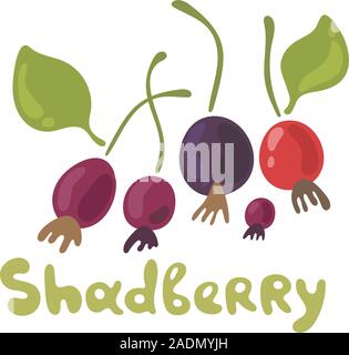 Shadberry hand drawn vector illustration in doodle style. Flat icons for food image. Organic food on white background. Cute plant. Flat doodle design. Stock Vector