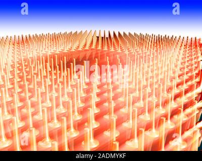 Central processing unit. Computer artwork of a 64- bit central processing unit (CPU). A CPU is the main data-processing component of a computer. Stock Photo
