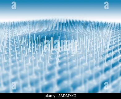 Central processing unit. Computer artwork of a 64- bit central processing unit (CPU). A CPU is the main data-processing component of a computer. Stock Photo