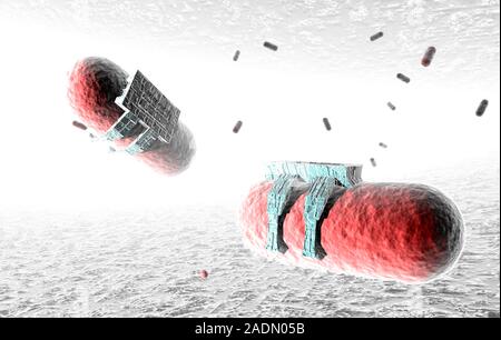 Medical nanorobots. Computer artwork of nanorobots killing bacteria (red). These microscopic robots are a future technology that could be developed to Stock Photo