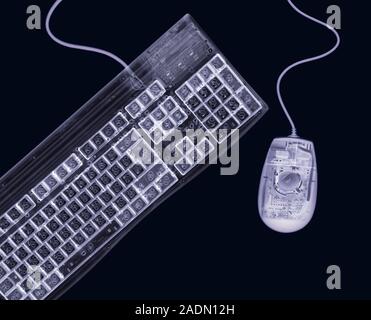 Computer keyboard and mouse. Simulated X-ray of a keyboard (left) and mouse (right) for a personal computer (PC). The mouse contains a rolling ball th Stock Photo