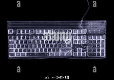 Computer keyboard. Simulated X-ray of a keyboard for a personal computer (PC). The keyboard connects to a computer (not seen) by the lead at upper rig Stock Photo