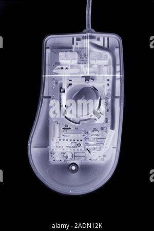 Computer mouse. Simulated X-ray of mouse for a personal computer (PC). The mouse contains a rolling ball (centre) that moves a pointer on a computer s Stock Photo