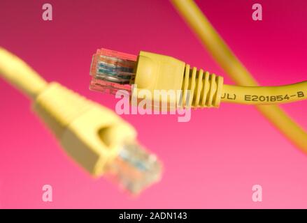 Registered jack connectors. This type of connector is used for connecting computers in a local area network (LAN). Stock Photo