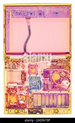 Laptop computer. Coloured X-ray of a laptop computer. The computer's screen is in upper frame (pale pink). Most of the components are seen in lower fr Stock Photo