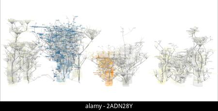 Website source code visualisation, computer artwork. This image was created using software designed to transform the source code of www.amazon.com web Stock Photo