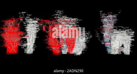 Website source code visualisation, computer artwork. This image was created using software designed to transform the source code of www.cnn.com websit Stock Photo