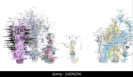 Website source code visualisation, computer artwork. This image was created using software designed to transform the source code of www.yahoo.com webs Stock Photo